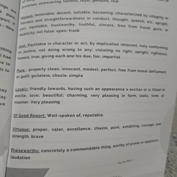 NWT Think on These Journal: Walking out Phillipians 4:8 - Picture 6 of 8